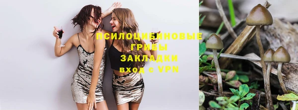 ПСИЛОЦИБИНОВЫЕ ГРИБЫ Краснотурьинск