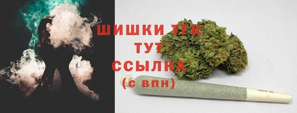 ПСИЛОЦИБИНОВЫЕ ГРИБЫ Краснотурьинск
