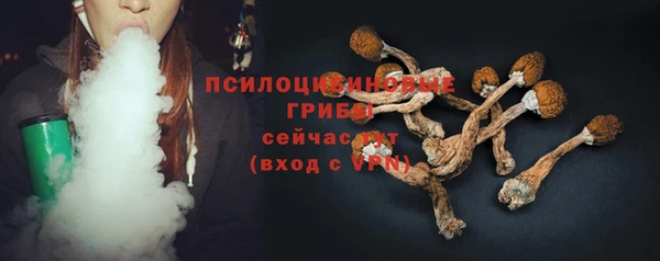 ПСИЛОЦИБИНОВЫЕ ГРИБЫ Краснотурьинск