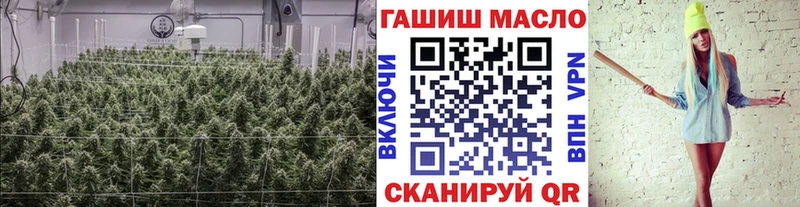 Купить закладки  Сальск  ТГК гашишное масло 