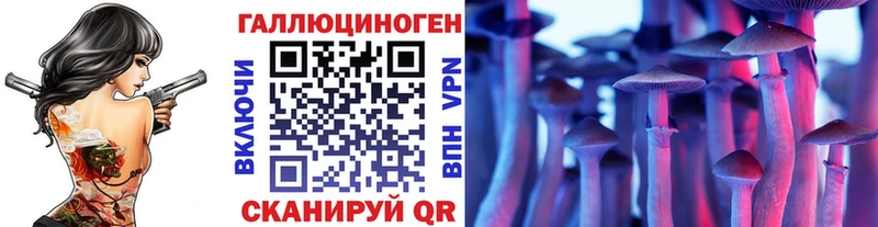 Купить закладки  Сальск  Галлюциногенные грибы Psilocybine cubensis 